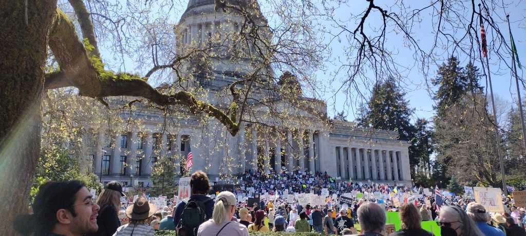 Group of concerned humans gathered in front of the Washington state Capitol building during the #handsoff protest
